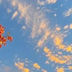 每日一善🎄每日一善阳光，不只来自太阳，还来自我们的内心，心里有阳光，才能看