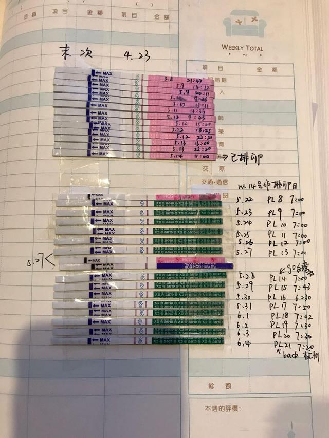 科学备孕, 这期间, 试了不少确实很有效的方法, 如愿怀上了鸡宝宝