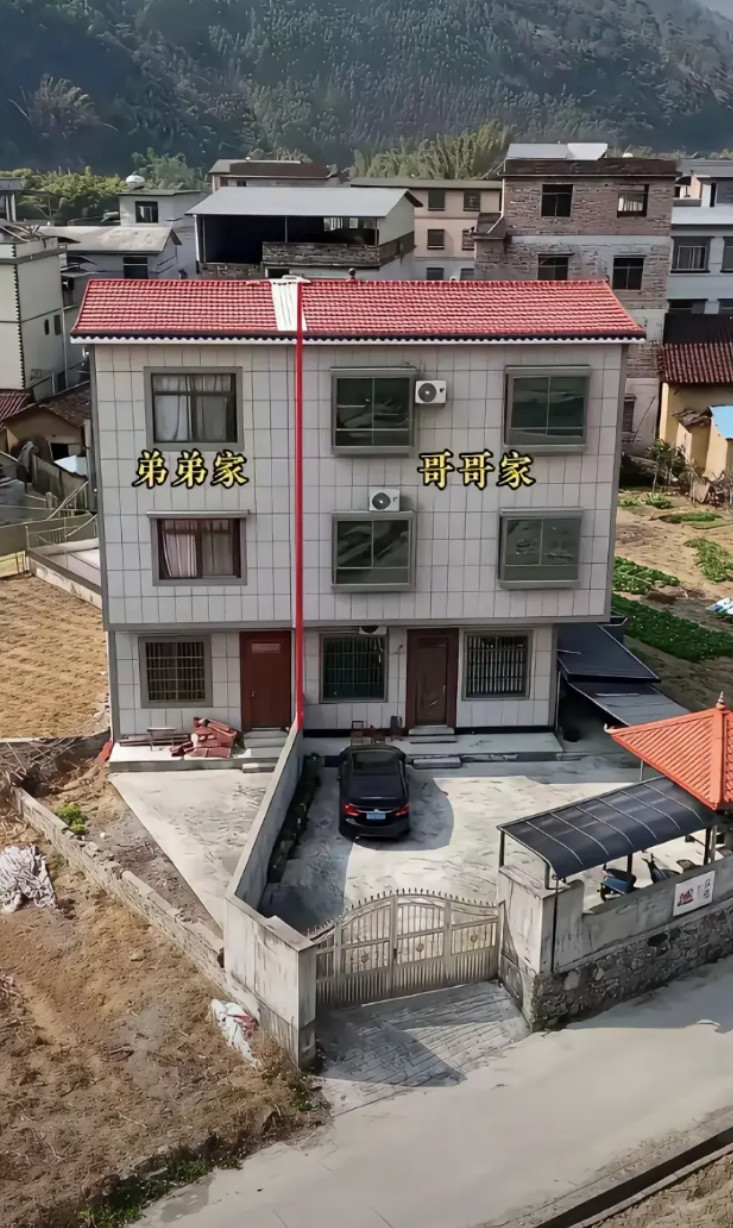 这兄弟俩有什么深仇大恨啊？