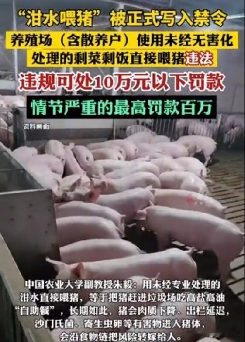“泔水喂猪”被正式写入禁令，为什么会有这样的规定呢？只说了结果，却不写缘由，这不