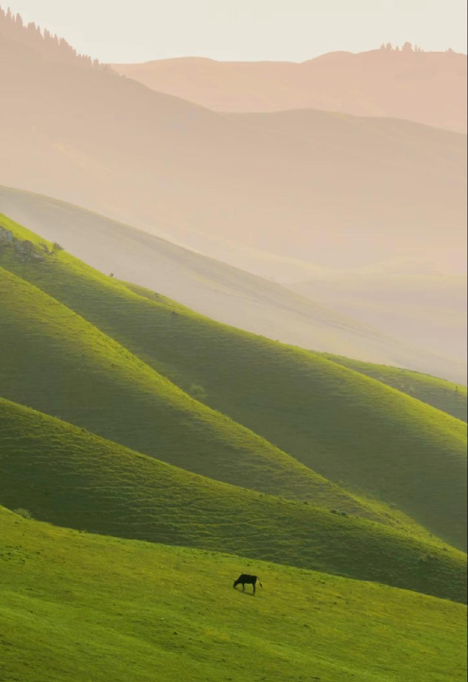 在游戏《城市天际线》里一旦高校盖多了，随着时间的推移所有人都可以上大学，这些接受