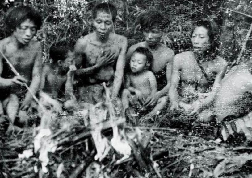 1956年，解放军在云南原始森林深处，发现一群衣不蔽体，蓬头垢面的男男女