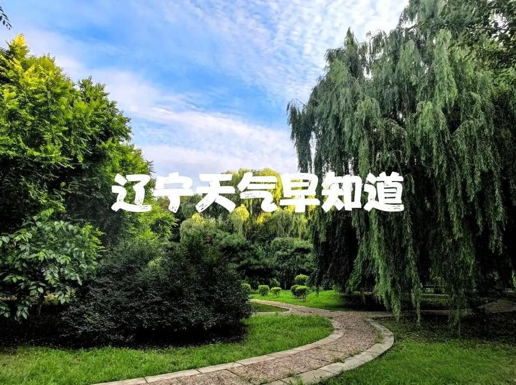 辽宁的朋友注意了！明天是8月2号星期六，辽宁这雨一下就没头，闷热闷热的……