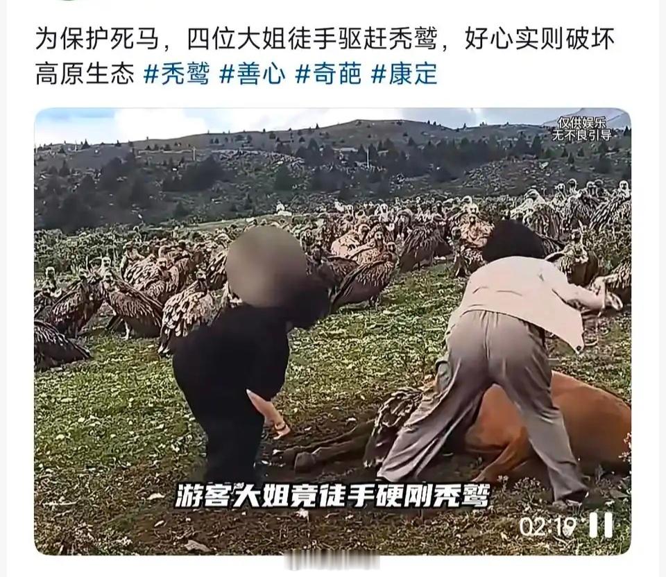 秃鹫：妈的怎么还有护食的