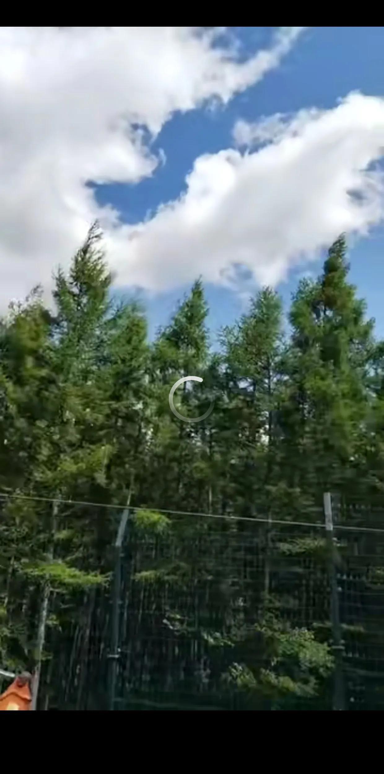 认识一对小夫妻，两人时高中同学，学习成绩都不太好。男的读的是铁路大专，毕业进了铁