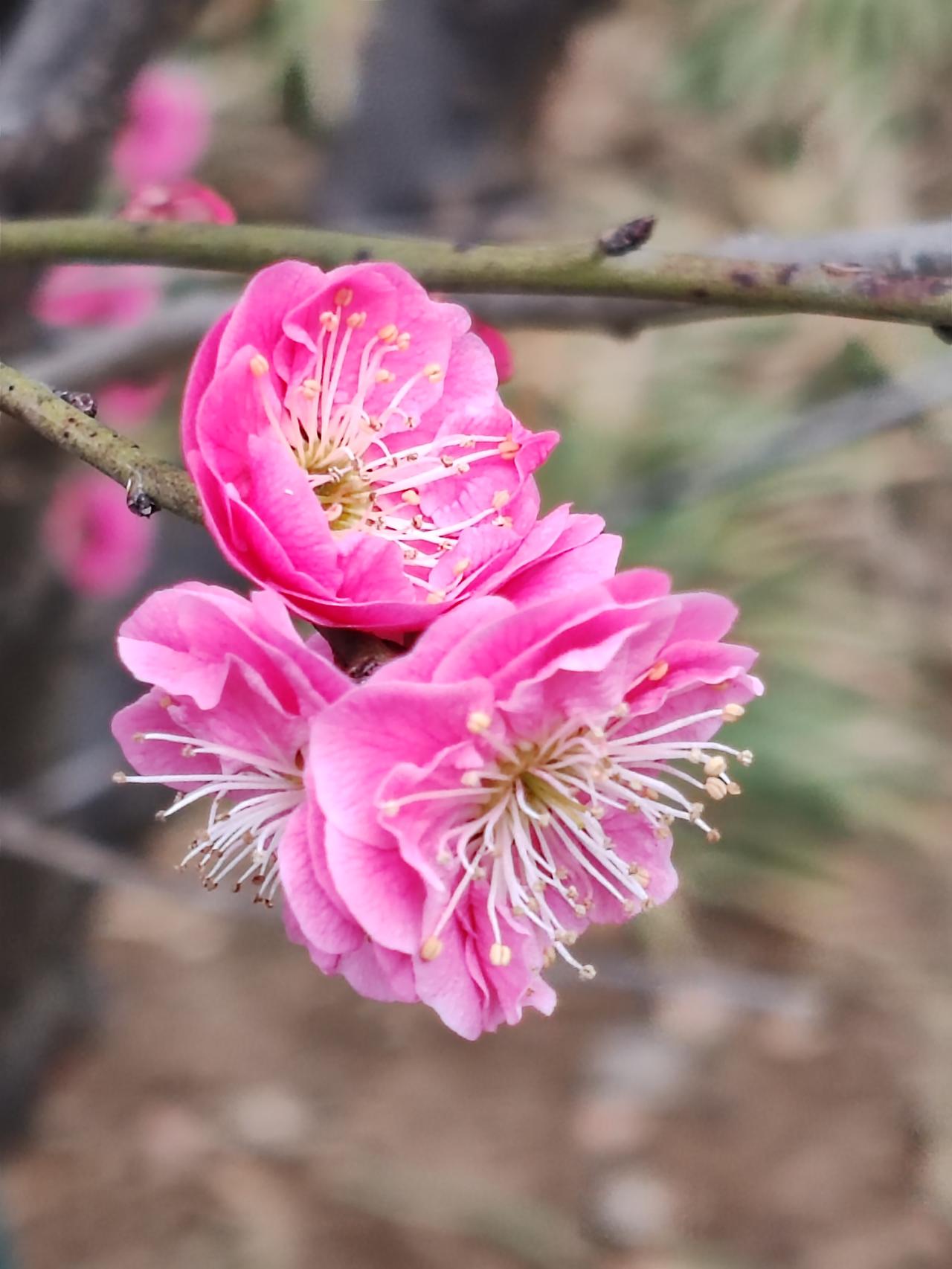 实际上，人一退休便会被社会边缘化，不过家庭依然需要你。倘若到了七十岁，你在家庭中