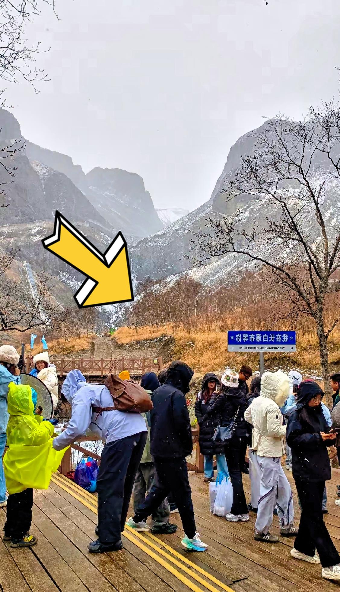 没交社保的还不算啥，最坑的是断交的那些人。我哥交了8年灵活就业，一开始一个月交
