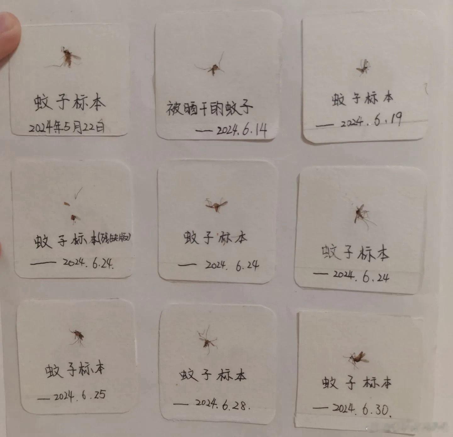 有些品牌就像蚊子它为了满足自己的欲望疯狂的在你耳边盘旋但凡你动手驱赶它它就会以你