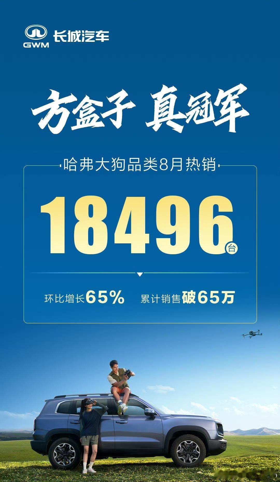 这俩方盒子真可以卖得好，Hi4技术很适合方盒子哈弗猛龙哈弗大狗​​​
