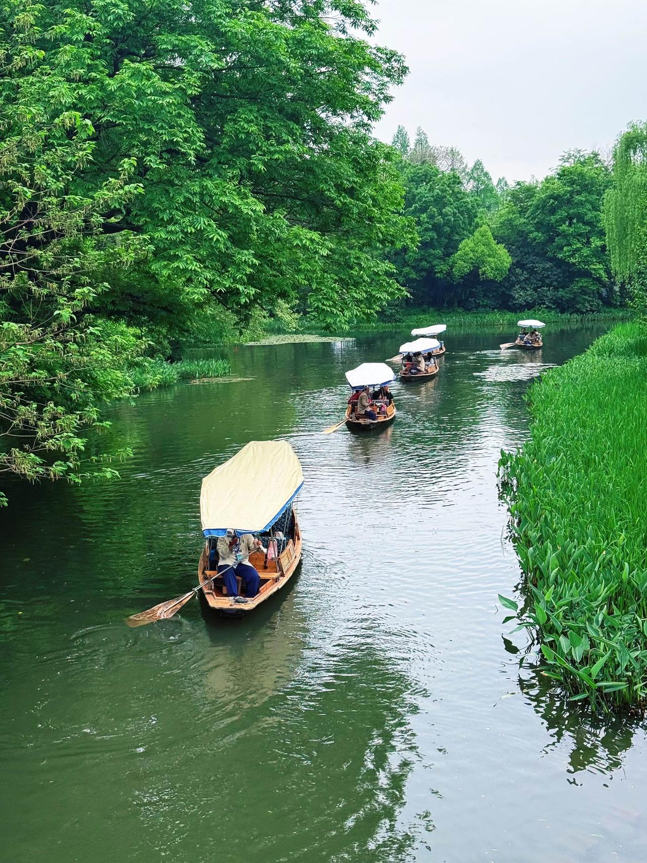 西湖的春天，是抹茶味的。微风、碧波、新茶，每一步都踏在温柔里～