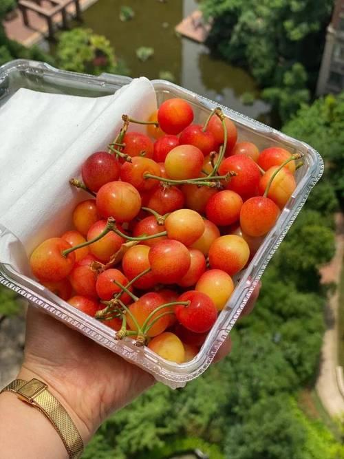5月8日，一则关于胖东来高价水果的帖子在各大社交平台快速发酵，有网友实拍发帖爆料