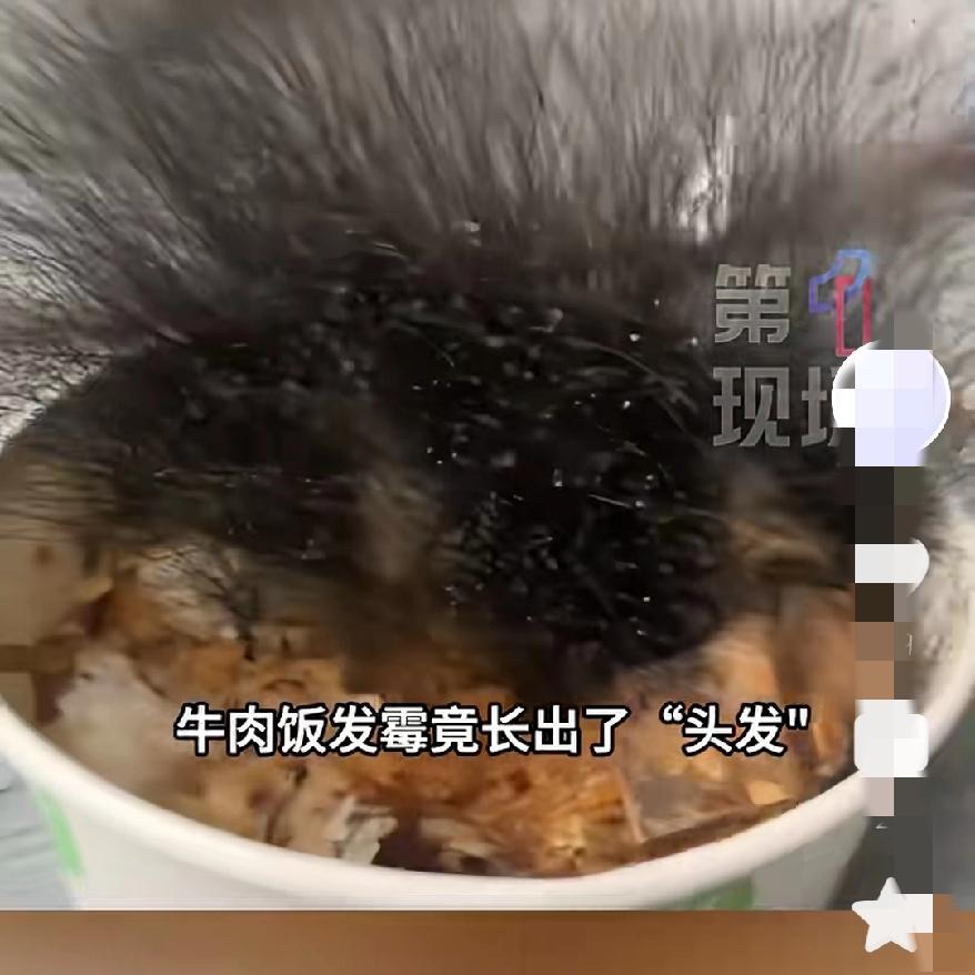 看呆了！合肥男子春节前把一碗牛肉饭忘在办公室，节后返工直接收获一片“黑色丛林