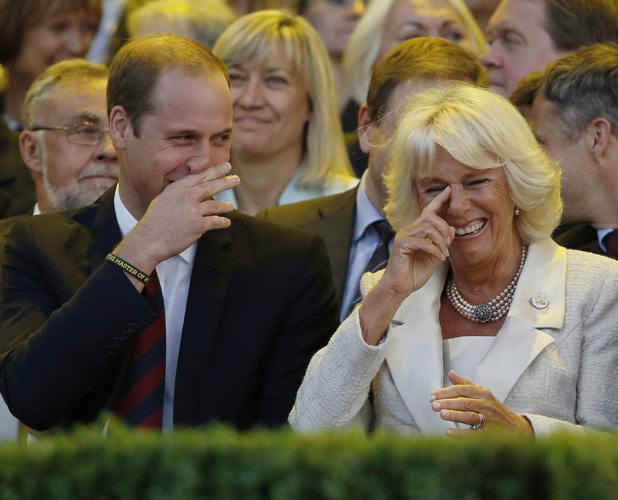 母慈子孝，威廉王子和卡米拉王后相处的很好，哈里王子回归王室无望。戴安娜王妃并不