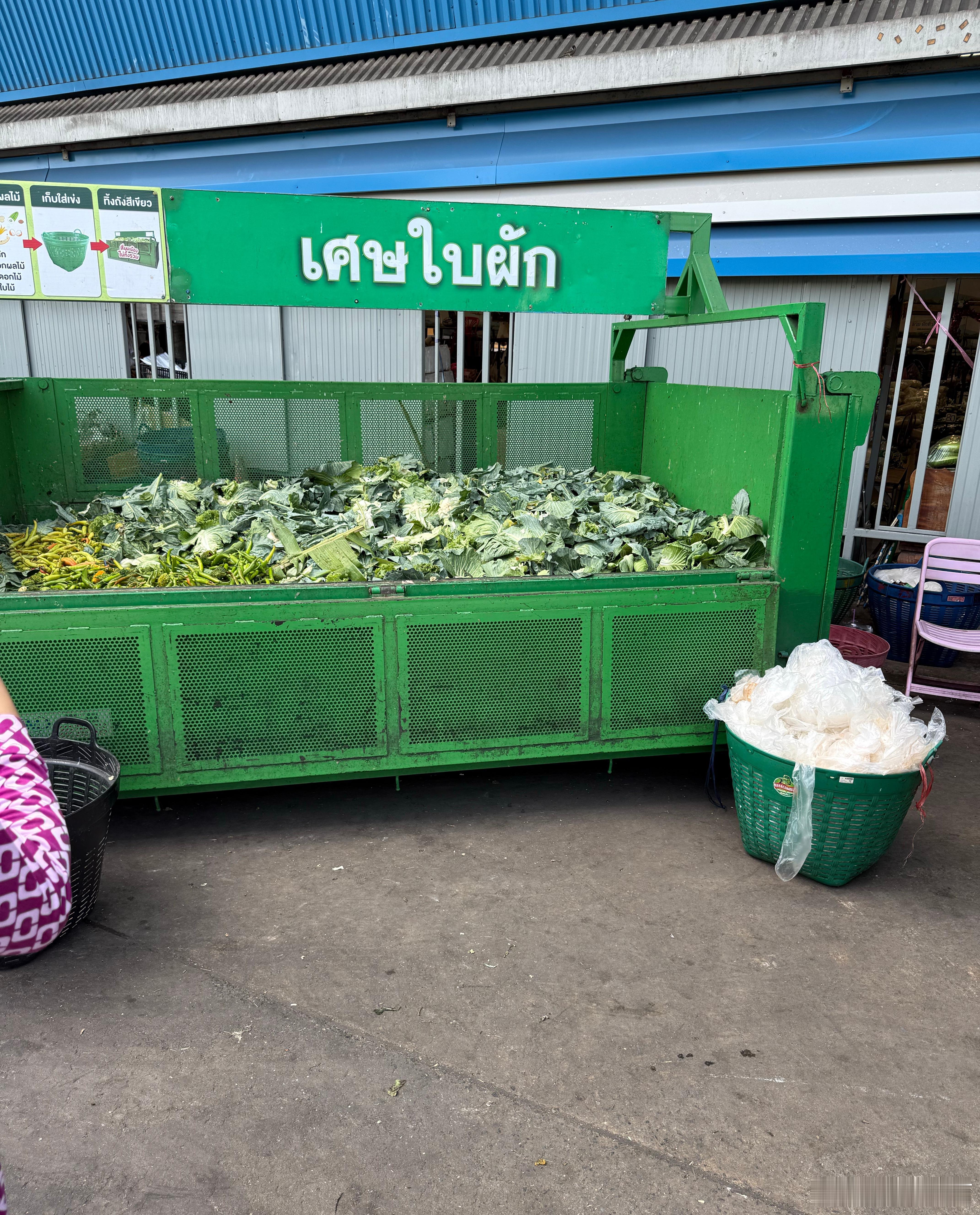 总说日本会变成大号泰国吗？我给大家看一下曼谷菜市场的垃圾箱，这种箱子还有十几个，