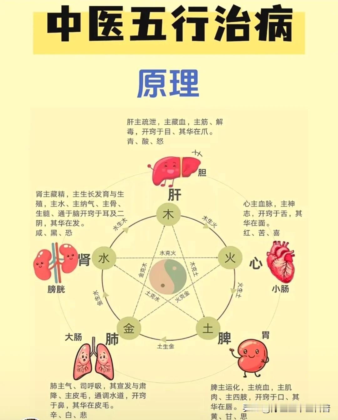 中医五行治病，你了解多少中医五行治病1、脾病从肝治肝属木、脾属土，肝木克