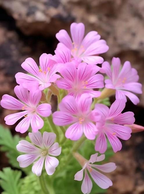 前阵子跟朋友闲聊，她轻描淡写地说：“我家从来没闹过婆媳矛盾，秘诀就是我公婆俩退休