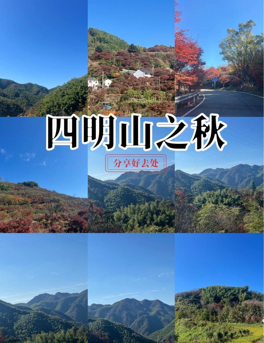 漫步林间秋色中~📍北京四明山镇四明山的秋日太美了五彩斑斓的森林一定要