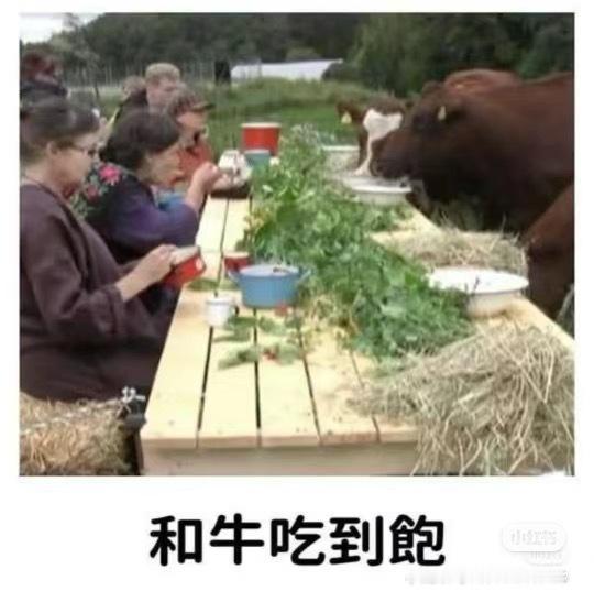 我：我靠我今天参加聚会，朋友怀孕六个月了我还摸了她的肚子我觉得周围的同龄人都好快