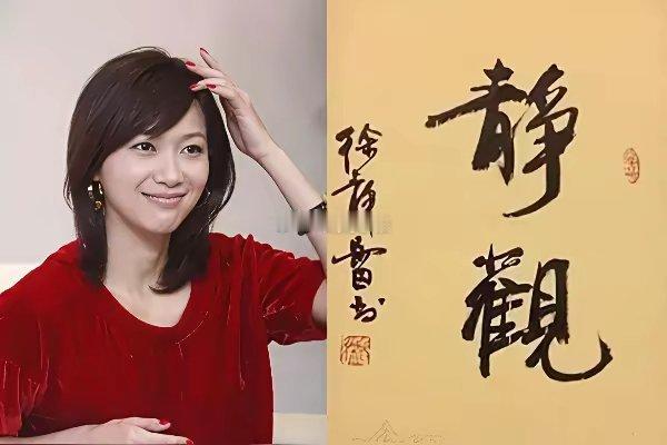 徐静蕾三岁就在父亲的严格督导下苦练颜体书法​2007年推出方正静蕾简体是国内