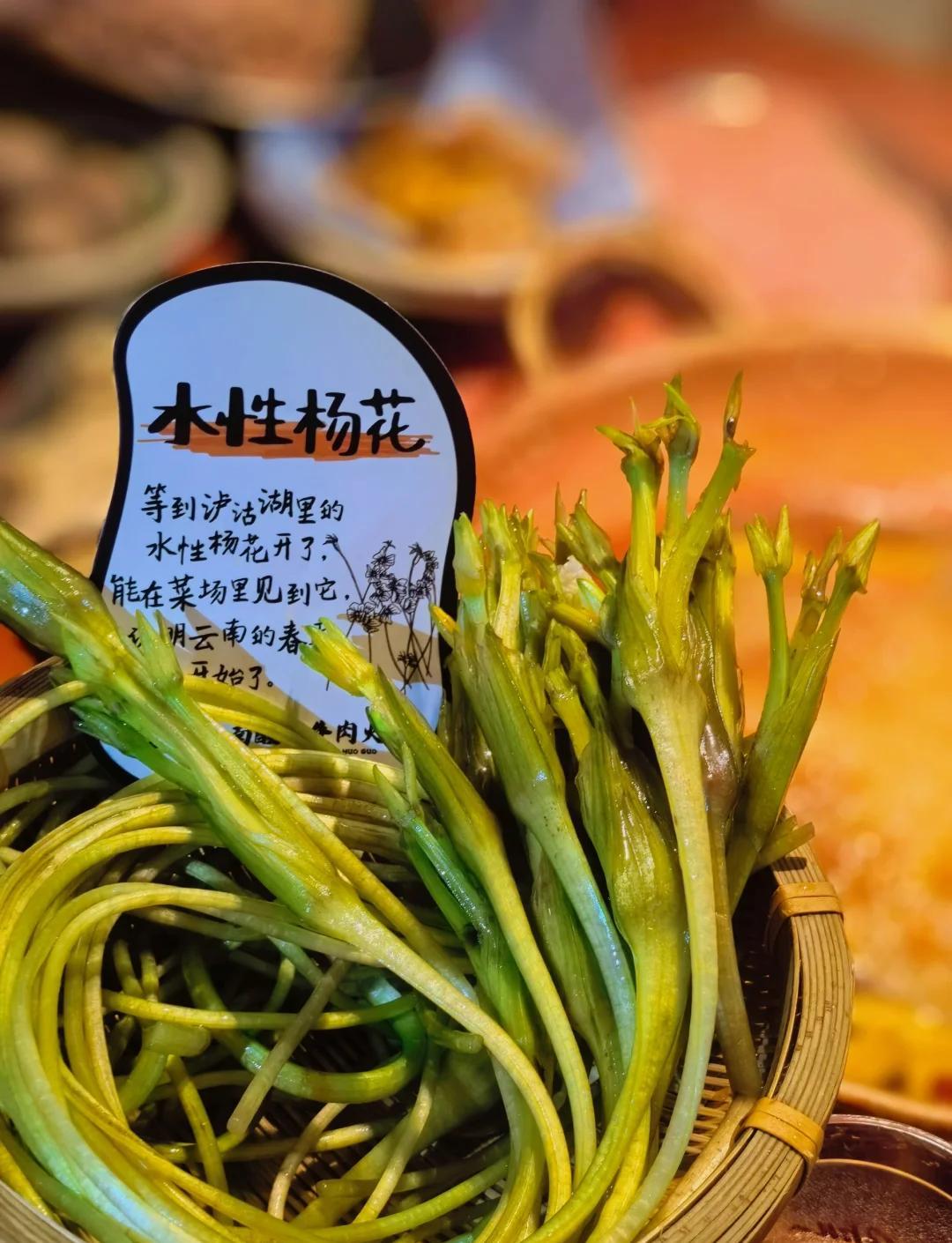 巴奴新菜取名“水性杨花”引众怒！24小时紧急改名，真可谓是“水性杨花”！最近