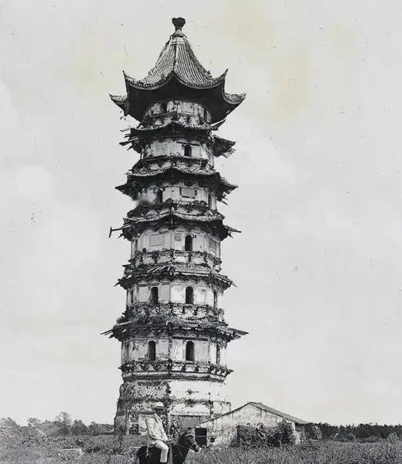 1978年，苏州三名小学生瞒着大人，偷偷来到了郊外的瑞光塔去掏鸟窝。最终，鸟毛也