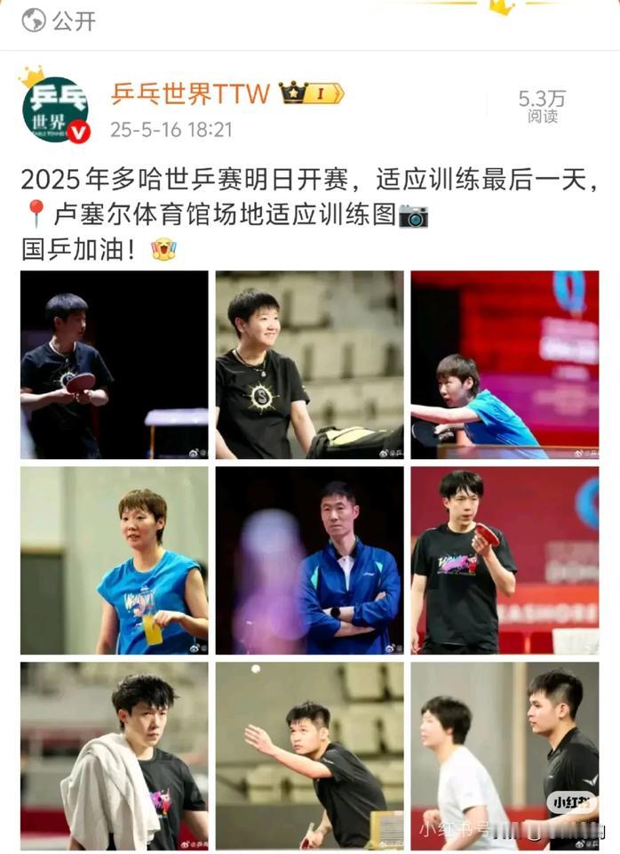 正中间C位的大力这是打哪个项目？[笑着哭]调皮的网友说打舆论战[捂脸哭]不是不突