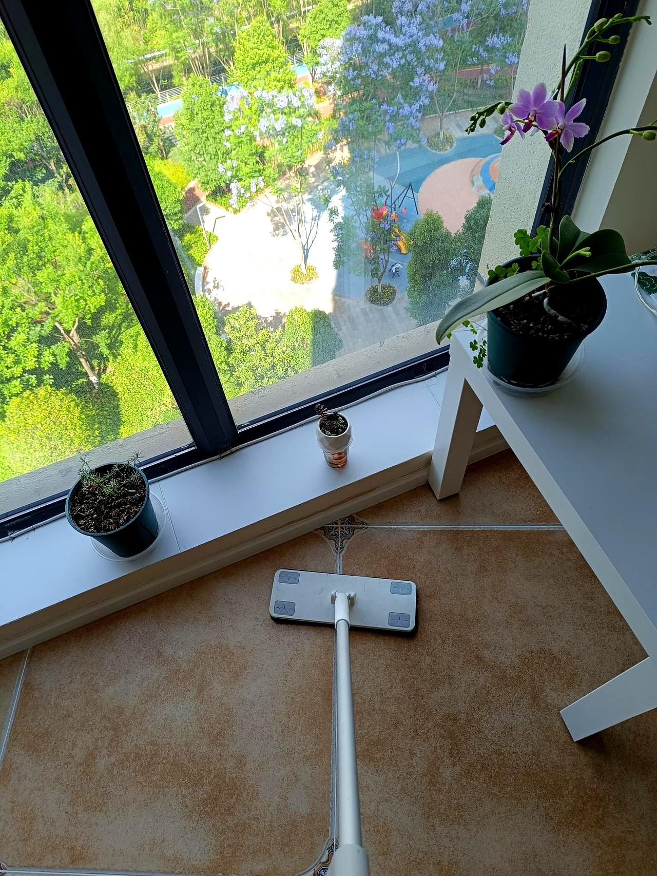 以前家里活儿真不用我操心，夫人在的时候，她勤快得很，很多事我还没反应过来，人家就
