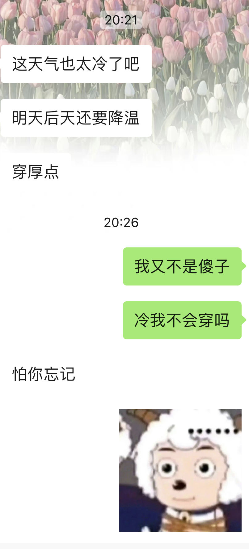 这天气也太冷了吧