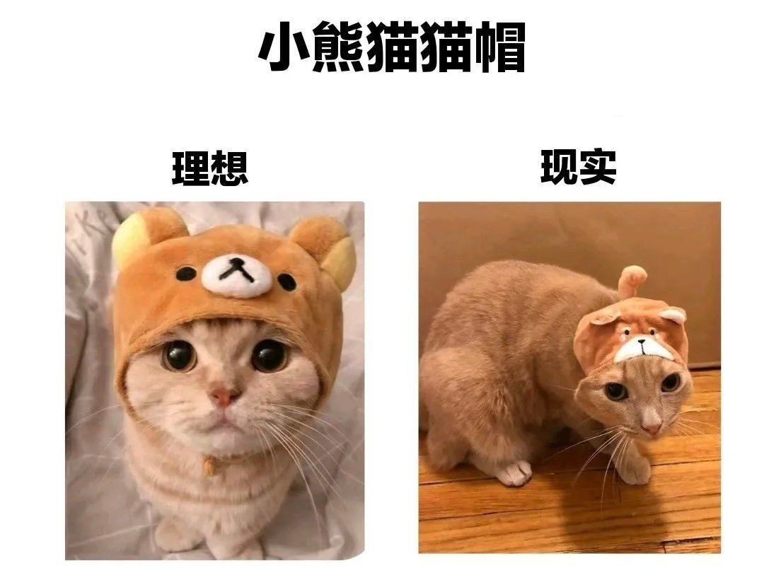 可爱meme​​​