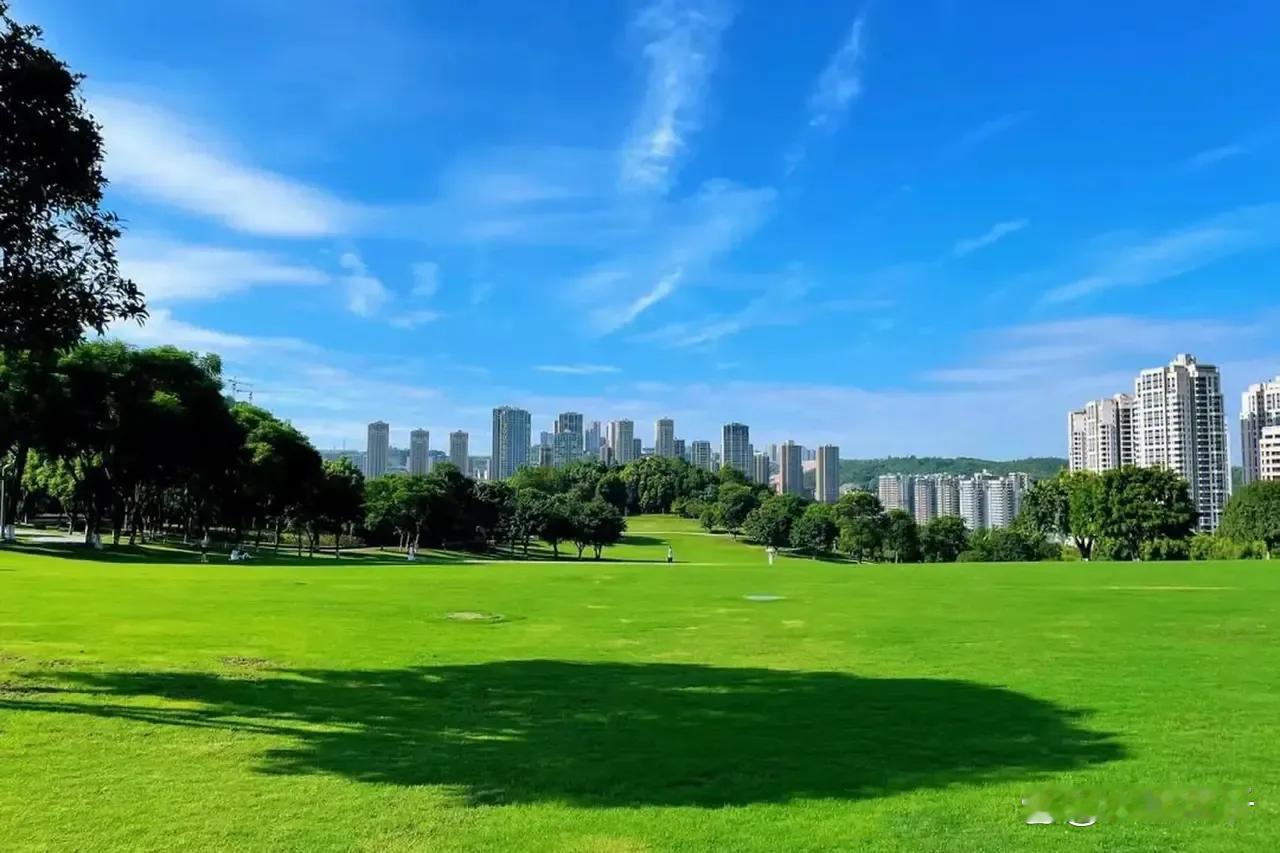 Deepseek发言了，我国综合实力十强城市排名：1.北京2.上