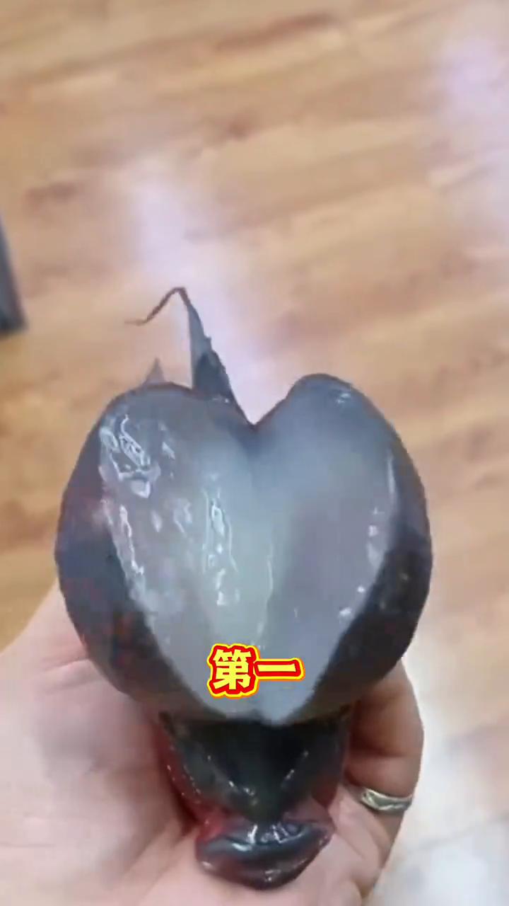 就算把鱼头劈开，它也不会告诉你的事。·第一，千万不要往鱼缸里扔煮熟的鸡蛋黄，不