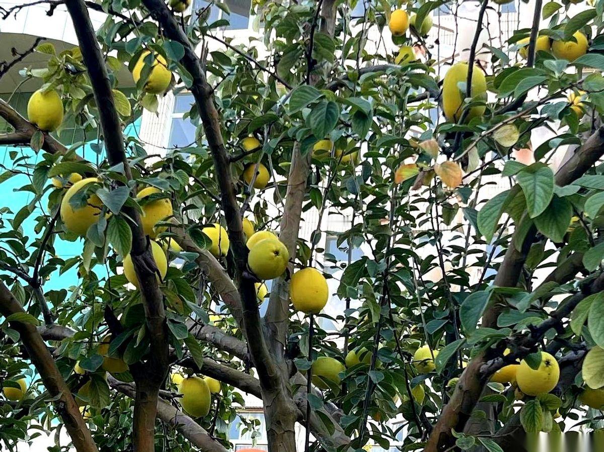 听说有民办学校要降价抢人了。我第一反应不是“真划算”，而是“完了，这学校是不是