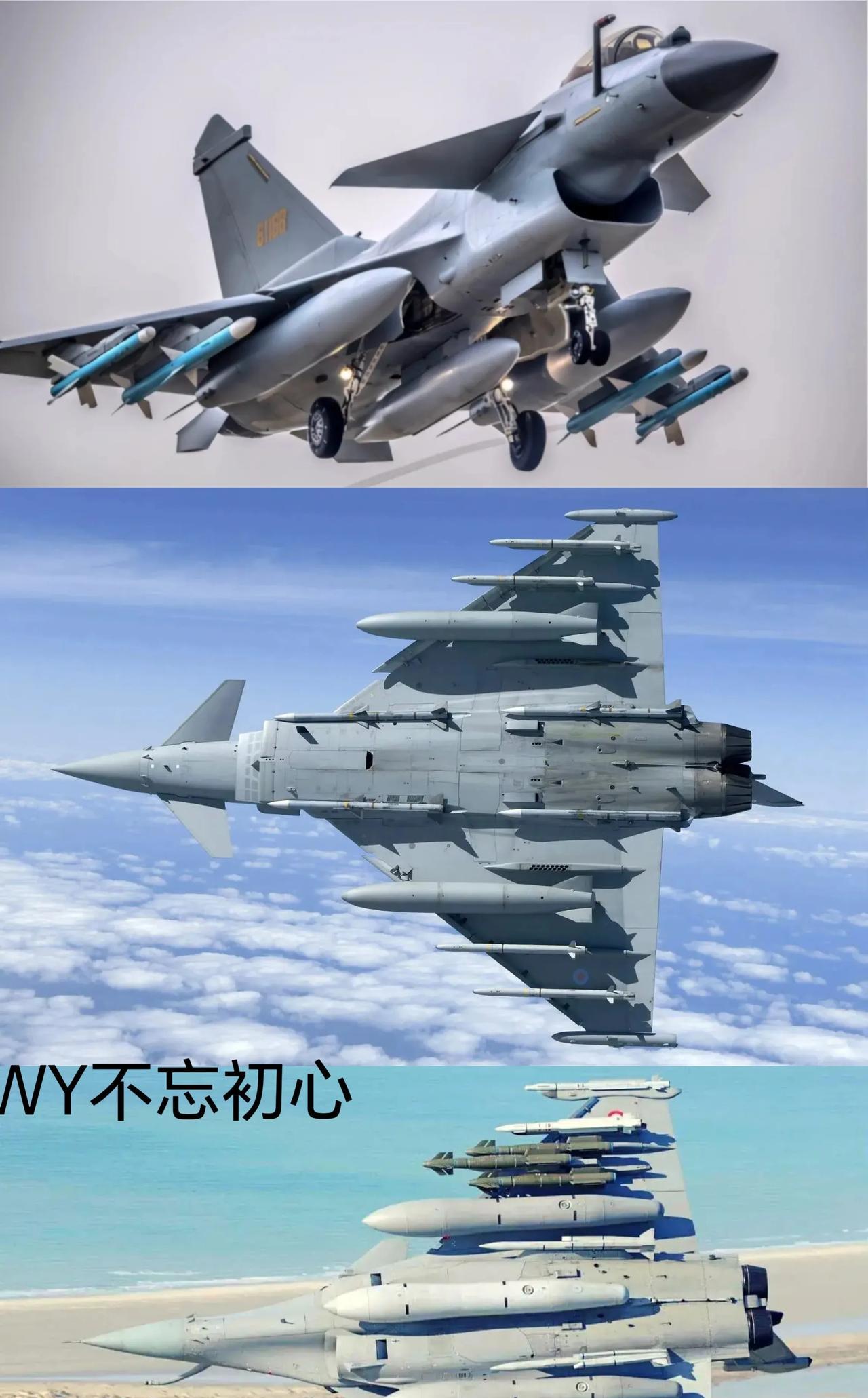 这是全球主流带鸭翼的四代机，包括了中国空军的歼10C、法国空军阵风、欧洲四国台风