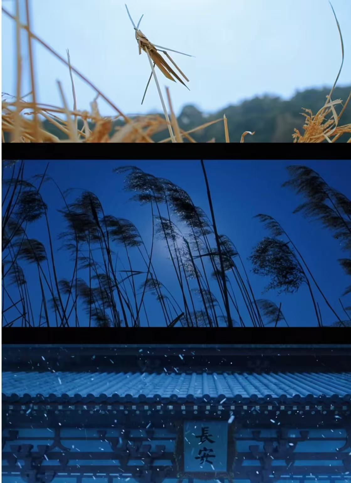 成毅长安二十四计长镜头这才是值得逐帧品味的长镜头美学！《长安二十四计》里，芦