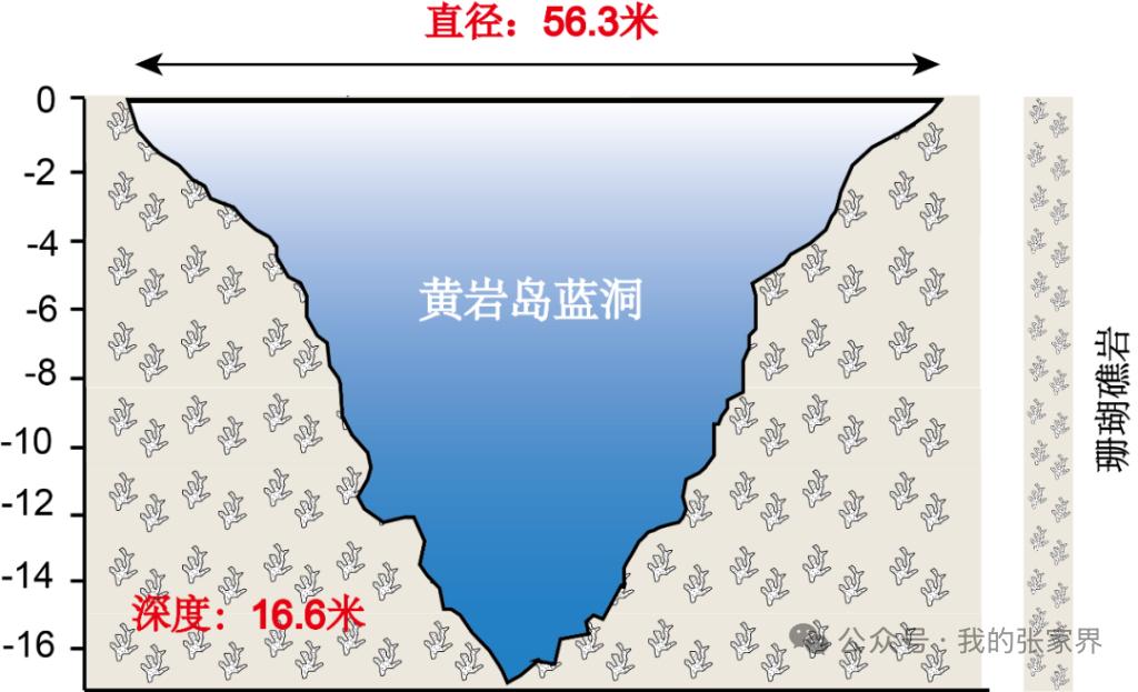 世界罕见！我国首次发现珊瑚礁蓝洞我国首次发现世界罕见的珊瑚礁蓝洞，简直太酷了！