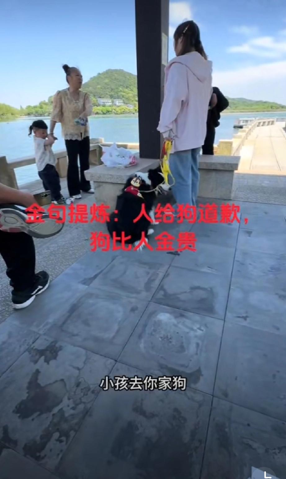 孩子顽皮抬脚踢狗，狗主人要求孩子给狗狗道歉，双方各执一词，吵得不可开交！大家怎么