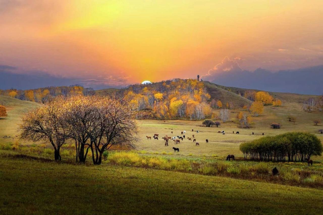 接了一个南京大学的教师子女，开始的时候我都觉得不可思议，南京大学的教师子女怎么可