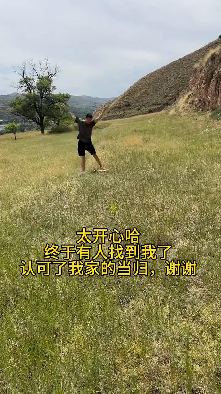 太开心，终于有人找到我了，认可了我家的当归，谢谢。