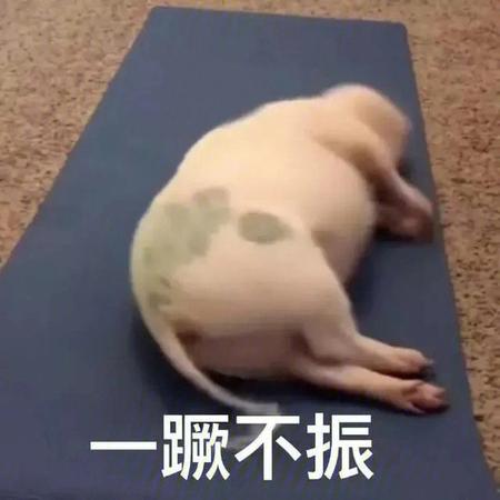 打铁出身的胡明轩。两眼无阻的杜锋？还有三分乱投的奎因。上十分钟四犯的麦...