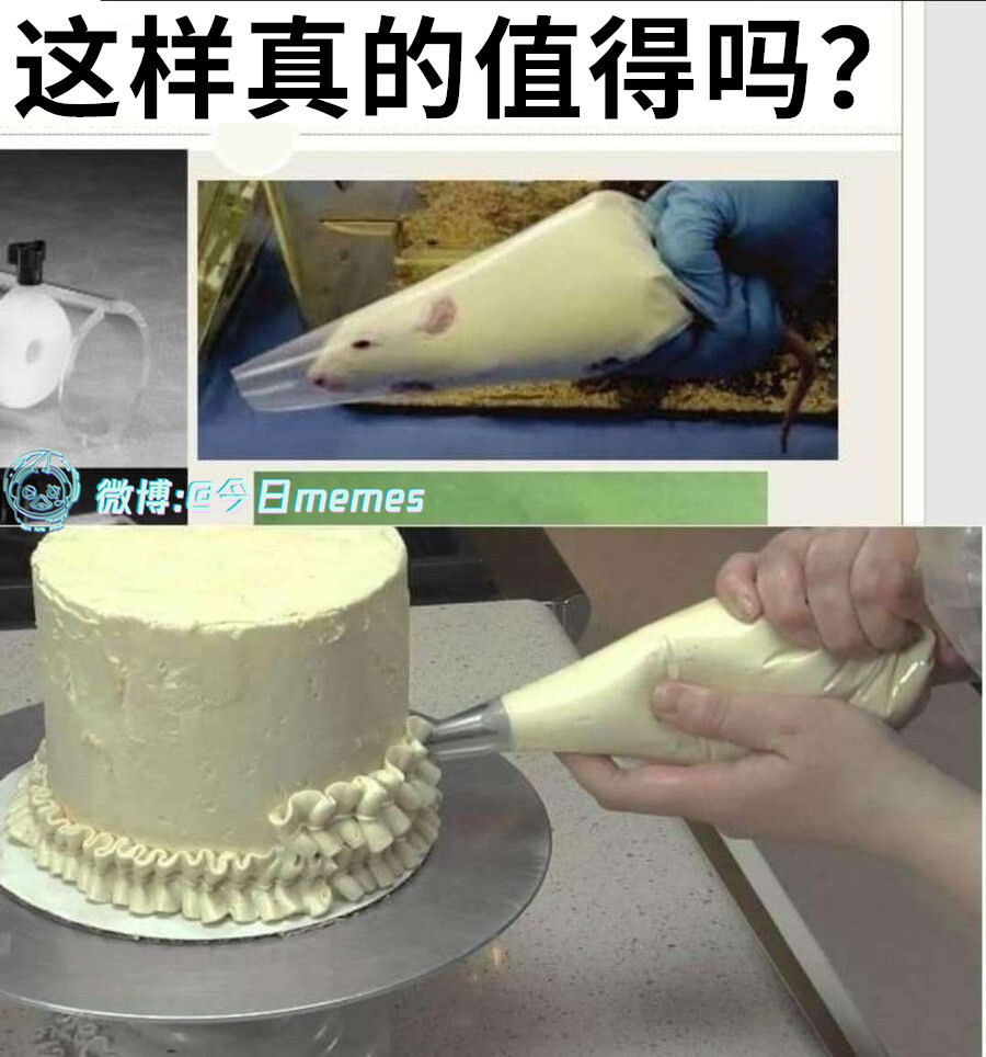鼠道难（9gag）今日meme今日memes