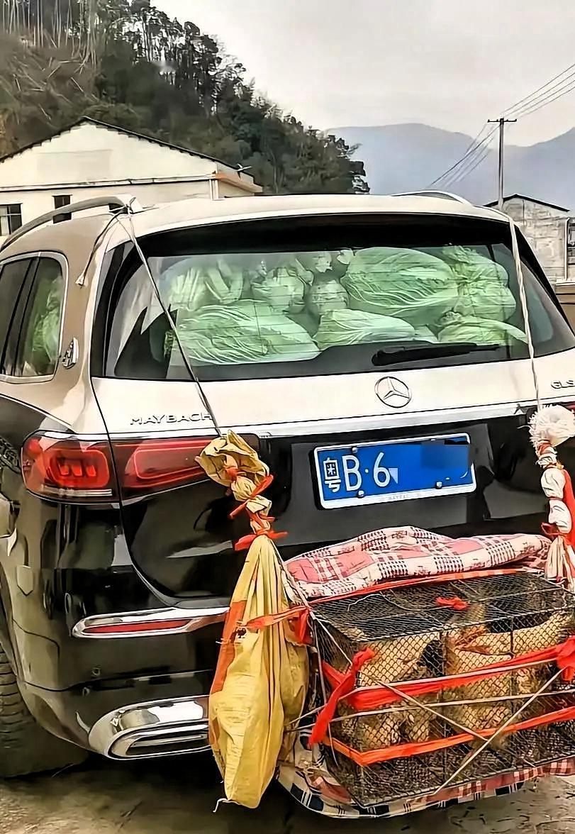 深圳打工人苦，当老板也苦啊！深圳一辆粤B迈巴赫因后备箱装着土鸡和家乡食材引发热