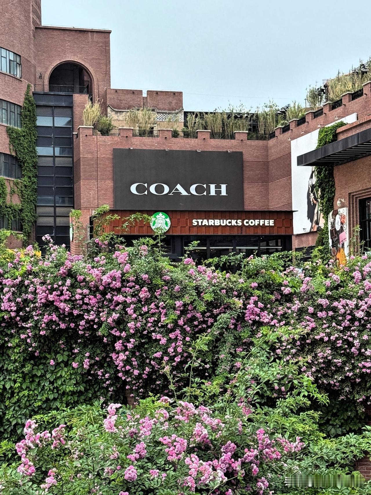 在外旅行，如何选择酒店？很多旅行博主推荐外出旅行要选择距离市区较远的地方住酒店