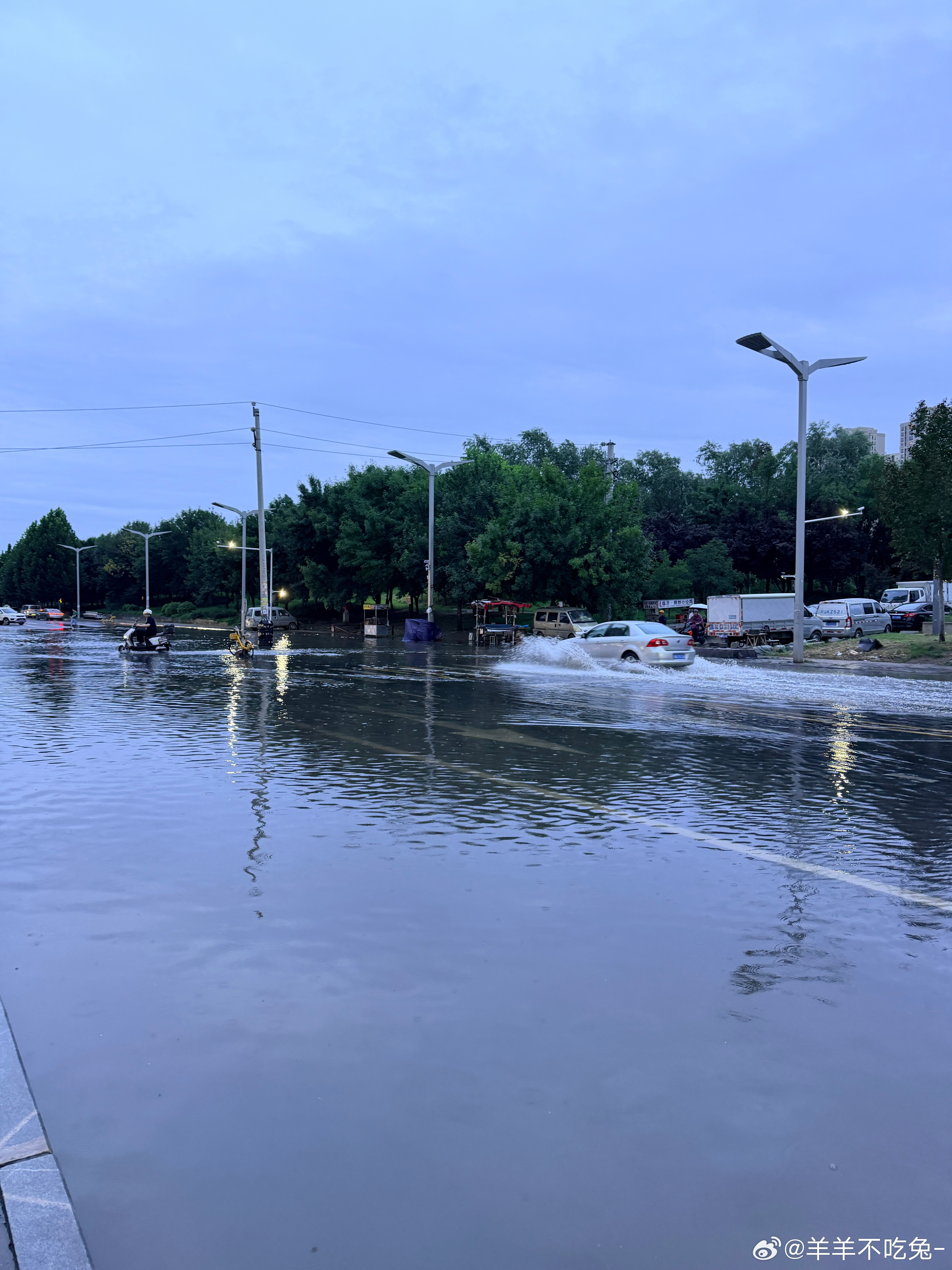 白海豚给河南下的雨有多猛就还行吧～毕竟我河南人都是见过大场面的这几年经验没白攒用