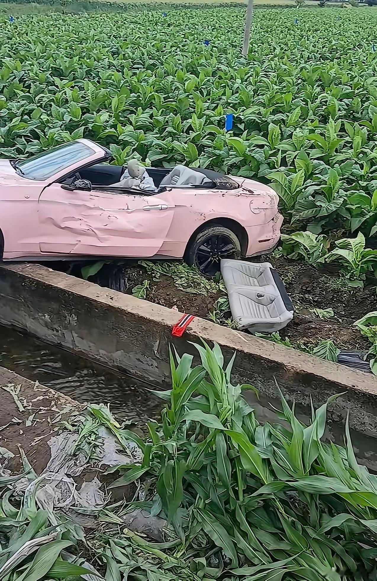租车行：这不亚于中二等奖