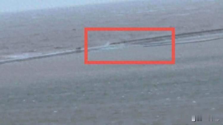 小火车翻进海里，景区没停运，风大为啥没人管？2024年10月18日，江苏启东