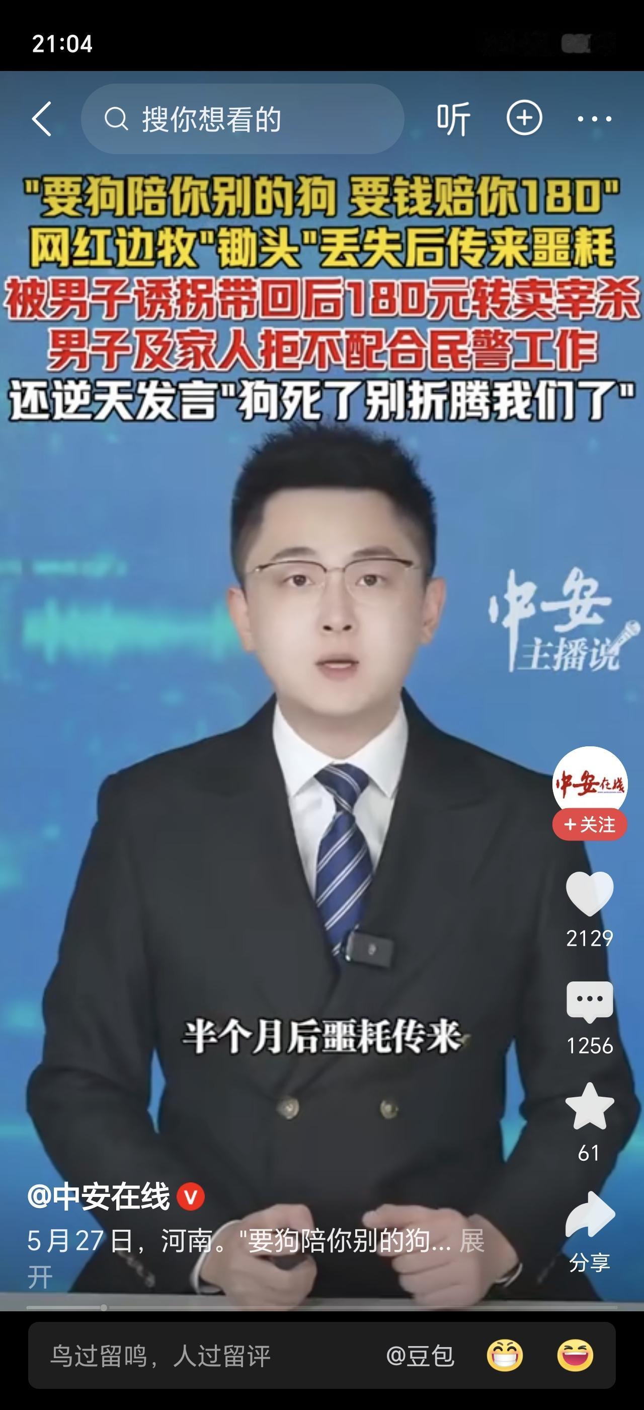 网红边牧“锄头”在家门口被一对夫妻掐脖拖走，180元卖给了屠夫！主人瘦猴还在国外
