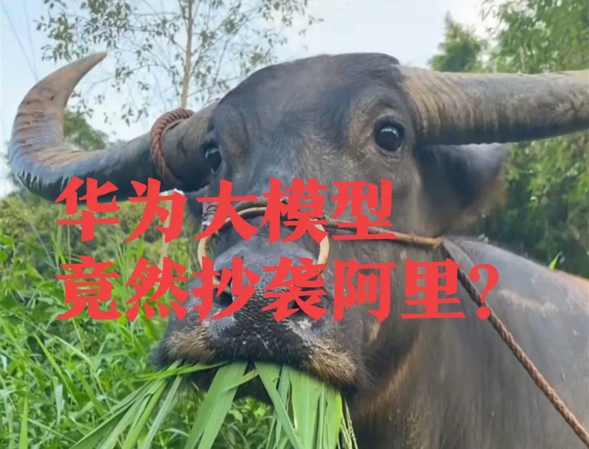 华为盘古大模型抄袭阿里？这个话题这几天非常火爆。我看到后觉得很不可思议：浓眉大