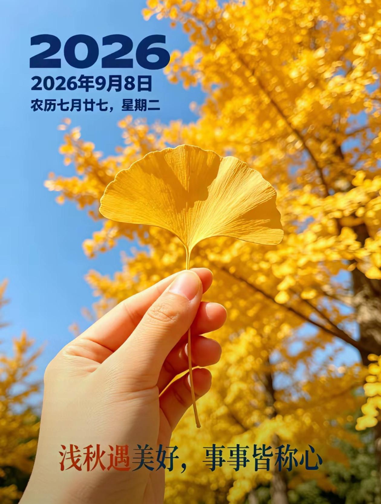  ²⁰²⁶/₀908，清风载温情寄远，秋承吉运福临门[太
