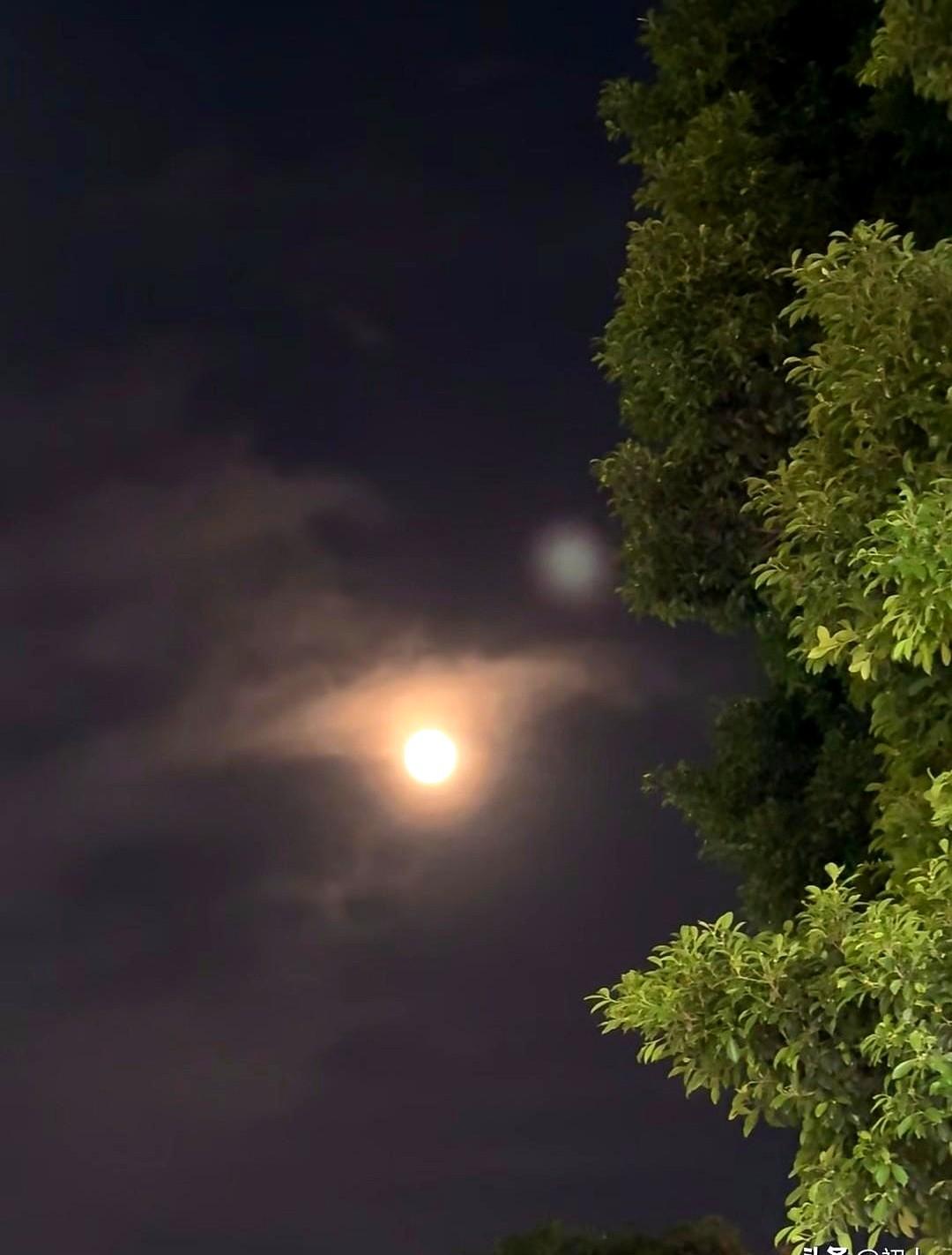 职称没了，身体垮了，值吗？老周熬夜七天把方案改到第十版，评审会上仍揪着同事一