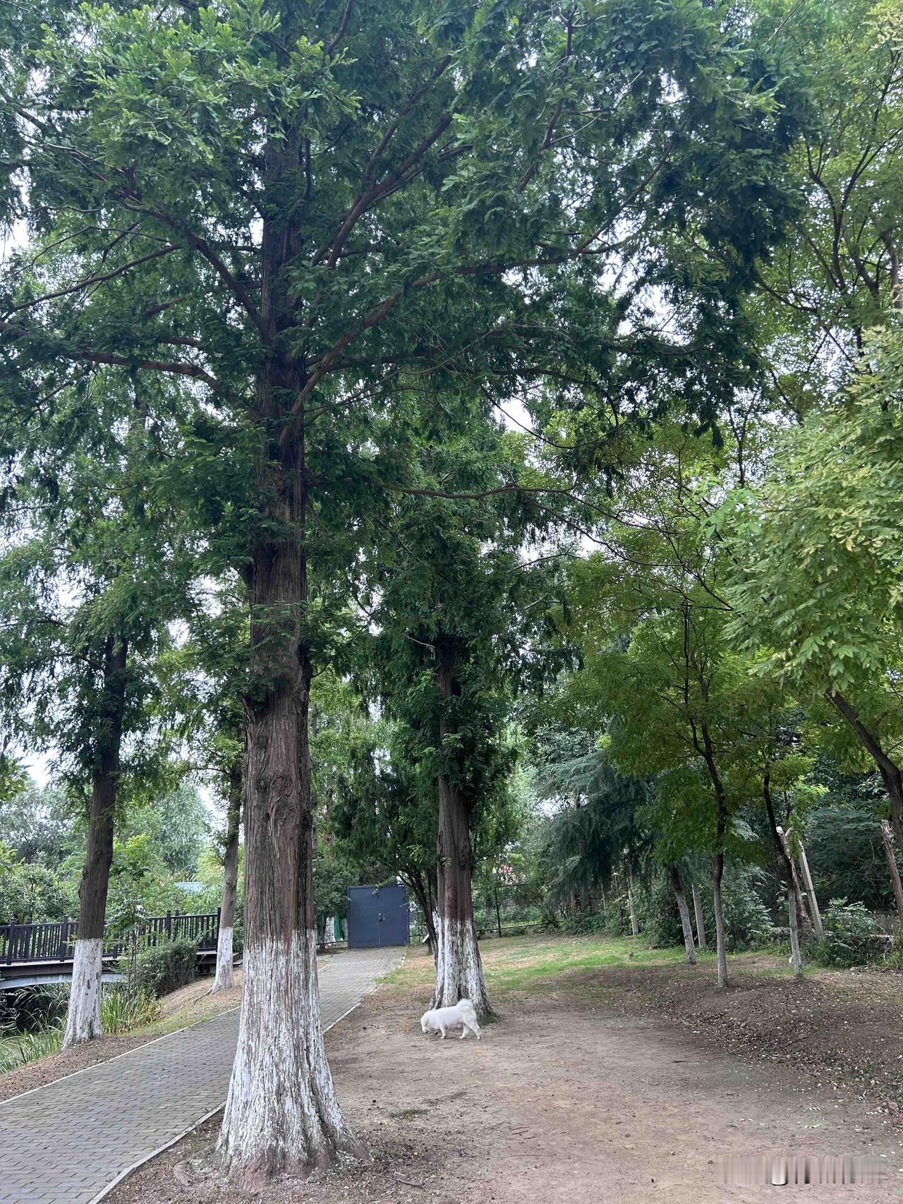 抛开买房楼层玄学，从健康角度聊聊几楼住着最养人有钱人买房从来不纠结4、18这
